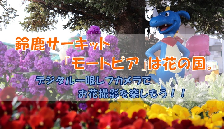 鈴鹿サーキット モートピア は花の国 デジタル一眼レフカメラでお花撮影を楽しもう シンプルに好きなこと