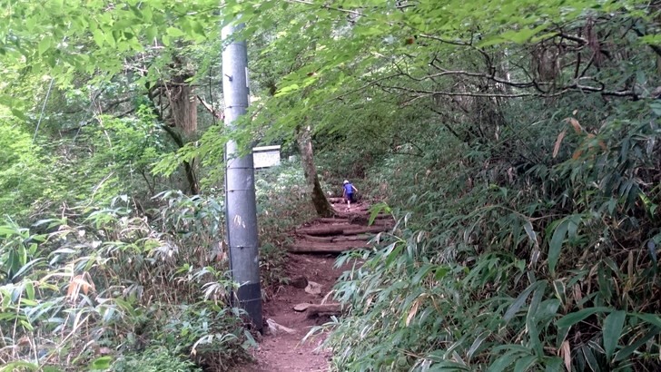 金剛山遊歩道