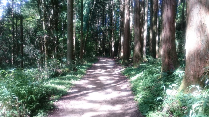 金剛山遊歩道