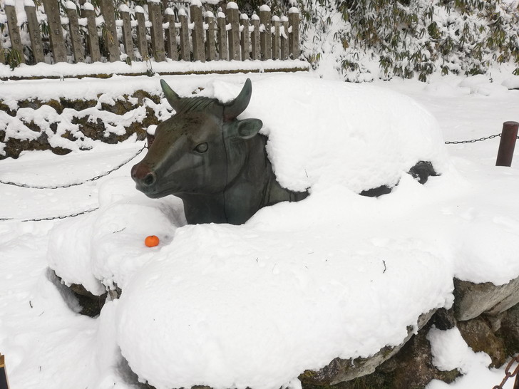 冬の金剛山・雪に埋もれた牛王像
