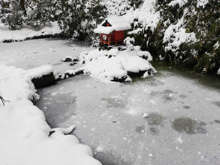 冬の金剛山・転法輪寺ひさご池が凍る