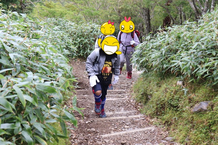 四国剣山の初心者向けコース「尾根道コース」