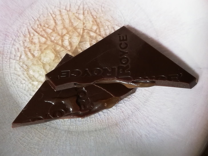 ロイズ・プラフィーユショコラはパリッと割れそうな繊細な板チョコ